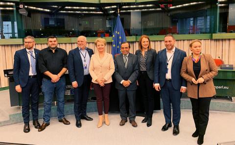 European Intergroup