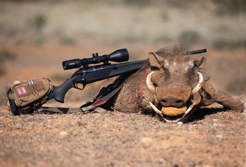 benelli lupo and warthog