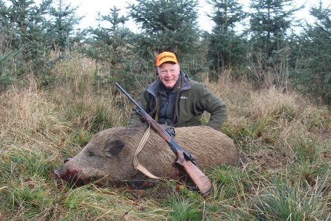 author and wild boar