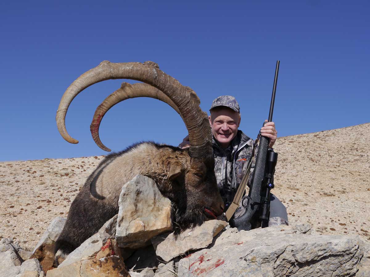 Boddington with Turkish ibex