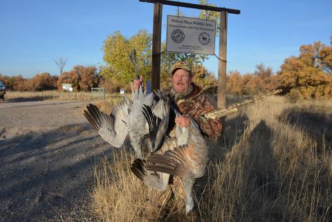 Sandhill crane double