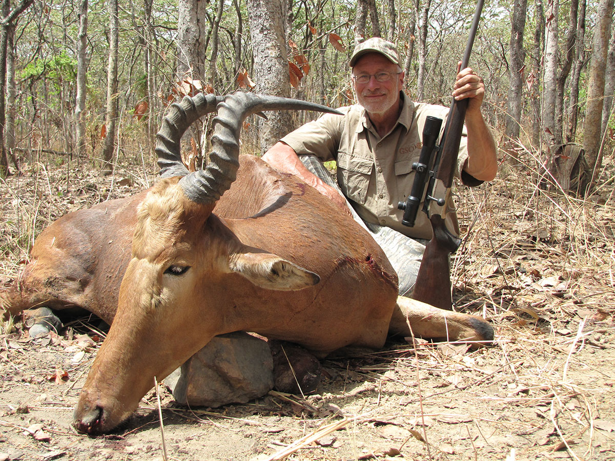 western hartebeest