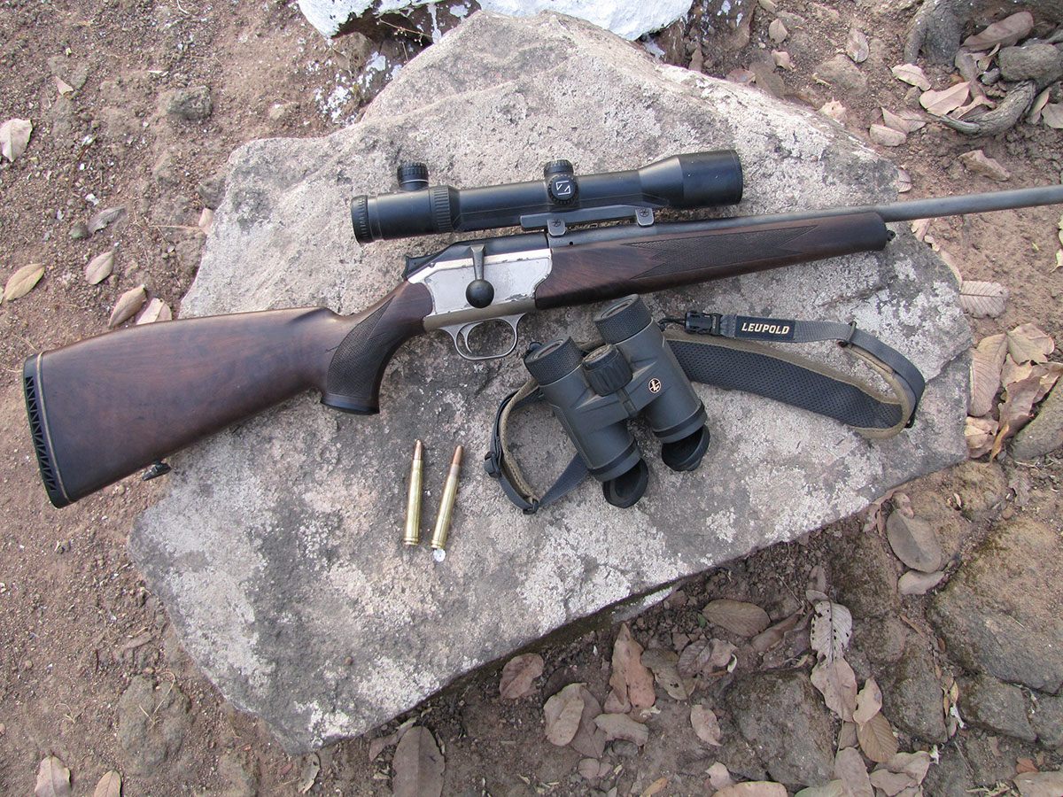 borrowed blaser