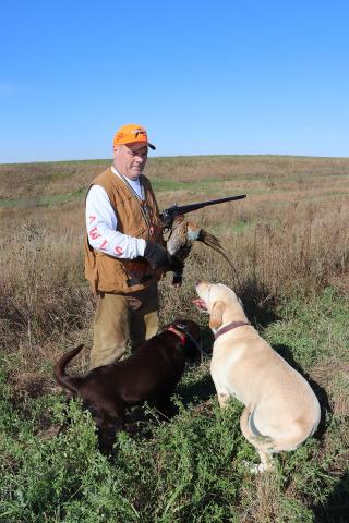 middleton with dogs