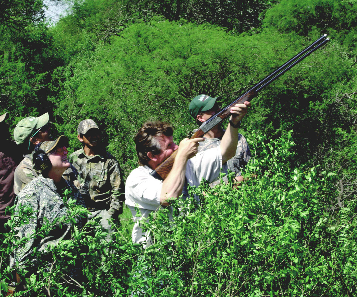 dove shooting