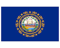 New Hampshire flag