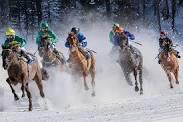 horse racing