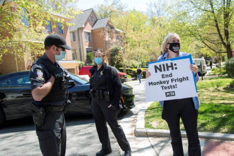 PETA protest
