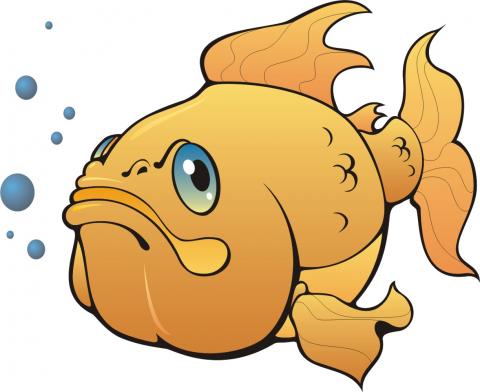 fish cartoon
